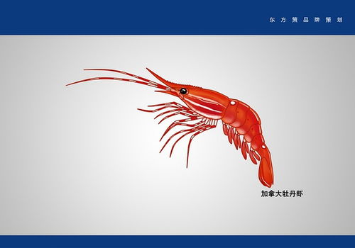 大连平面设计与动画制作中如何应对思路打断的困扰